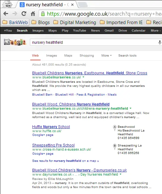 Google SERP listing