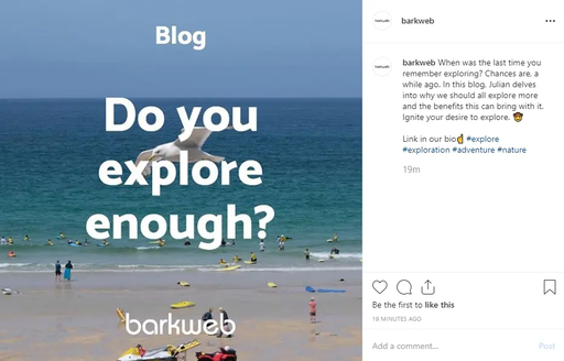 Barkweb Instagram post